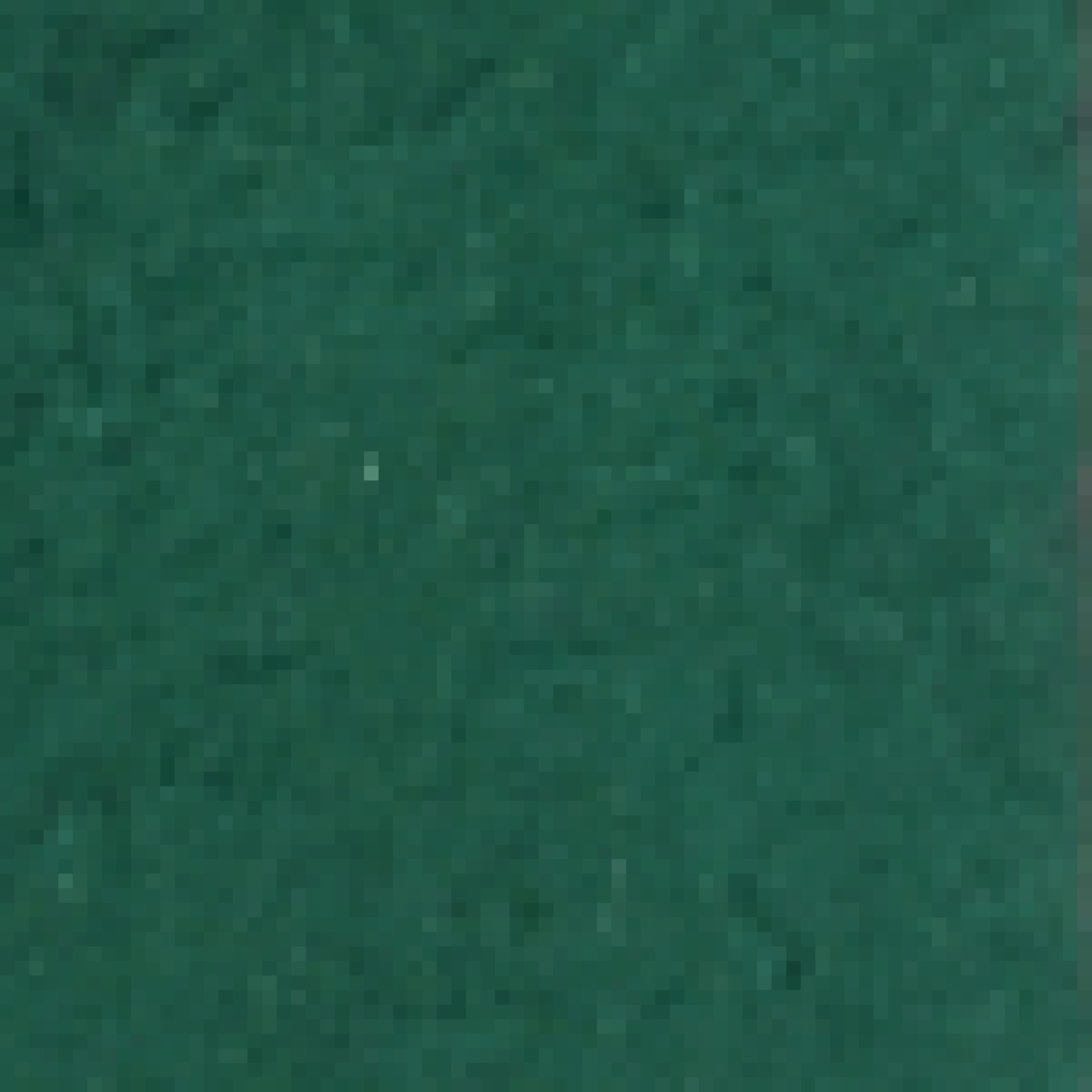pine-green-goat-suede.png